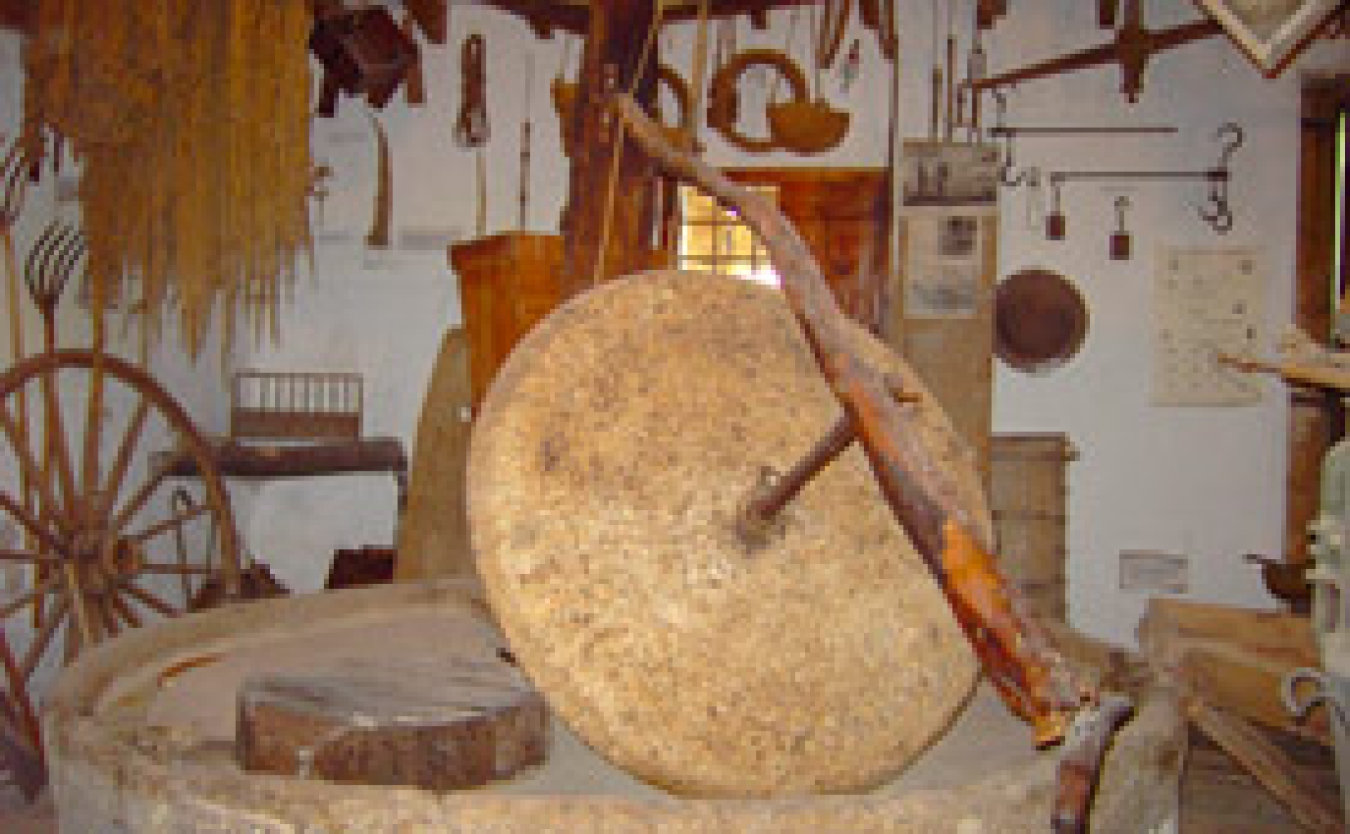 Torres de la Huerta, Visita a Almazara del año 1699 en Alicante y almuerzo alicantino en medio de la naturaleza