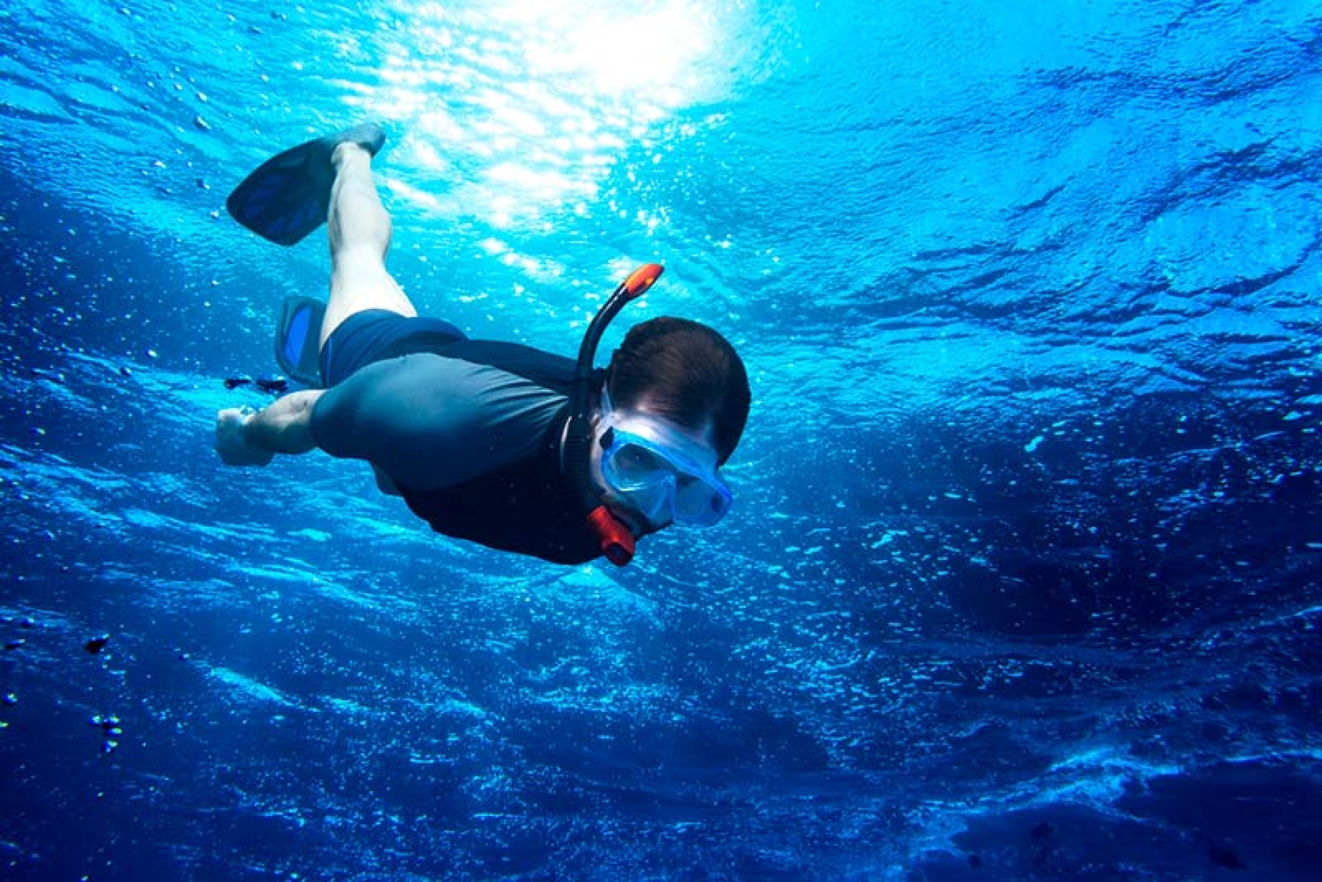 Tour Snorkel y ecoturismo en el Cabo de las Huertas.