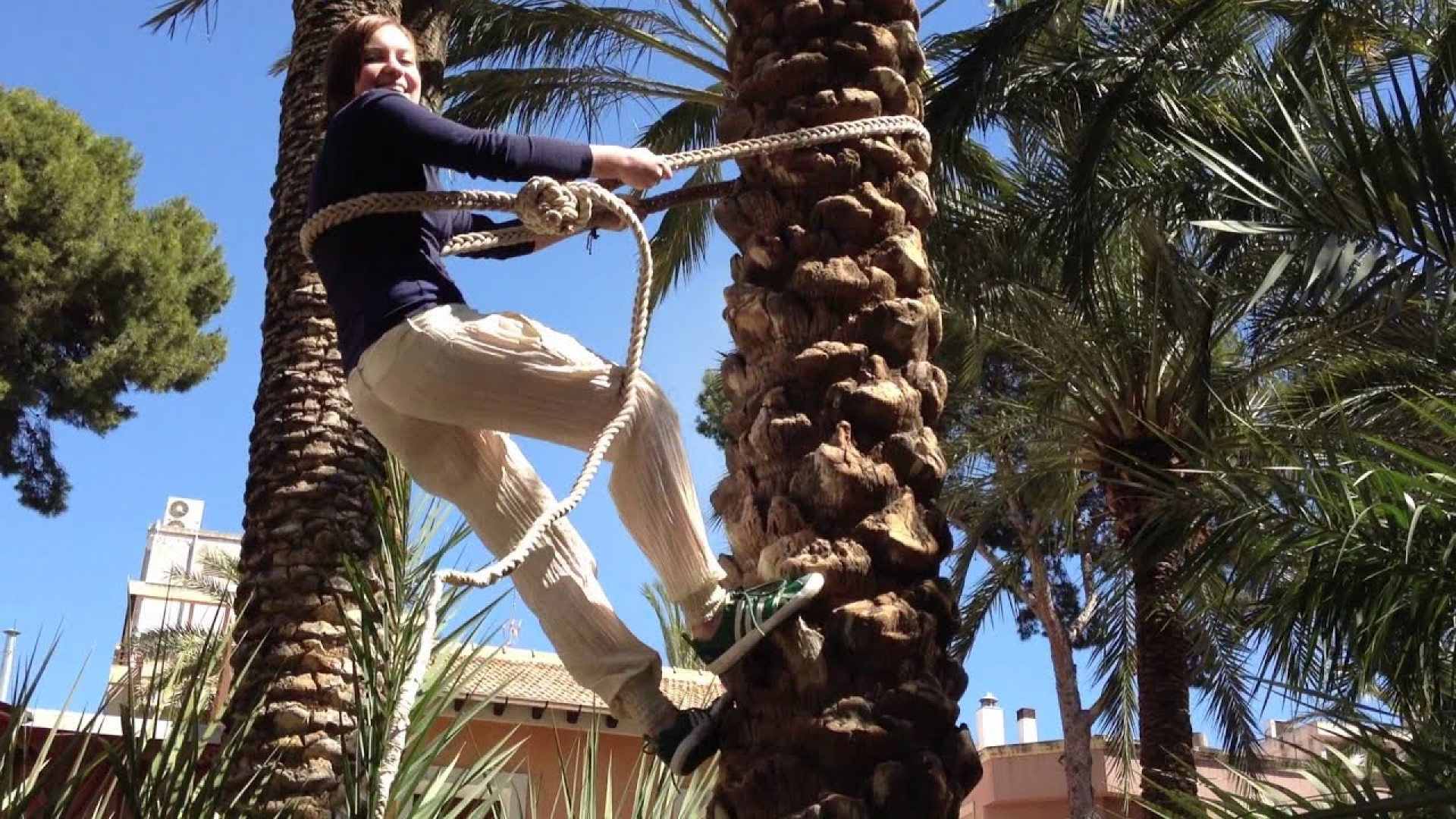 Tradiciones y oficios en Elche, taller de Palma blanca y trepa en palmera en Finca s. XIX de Elche