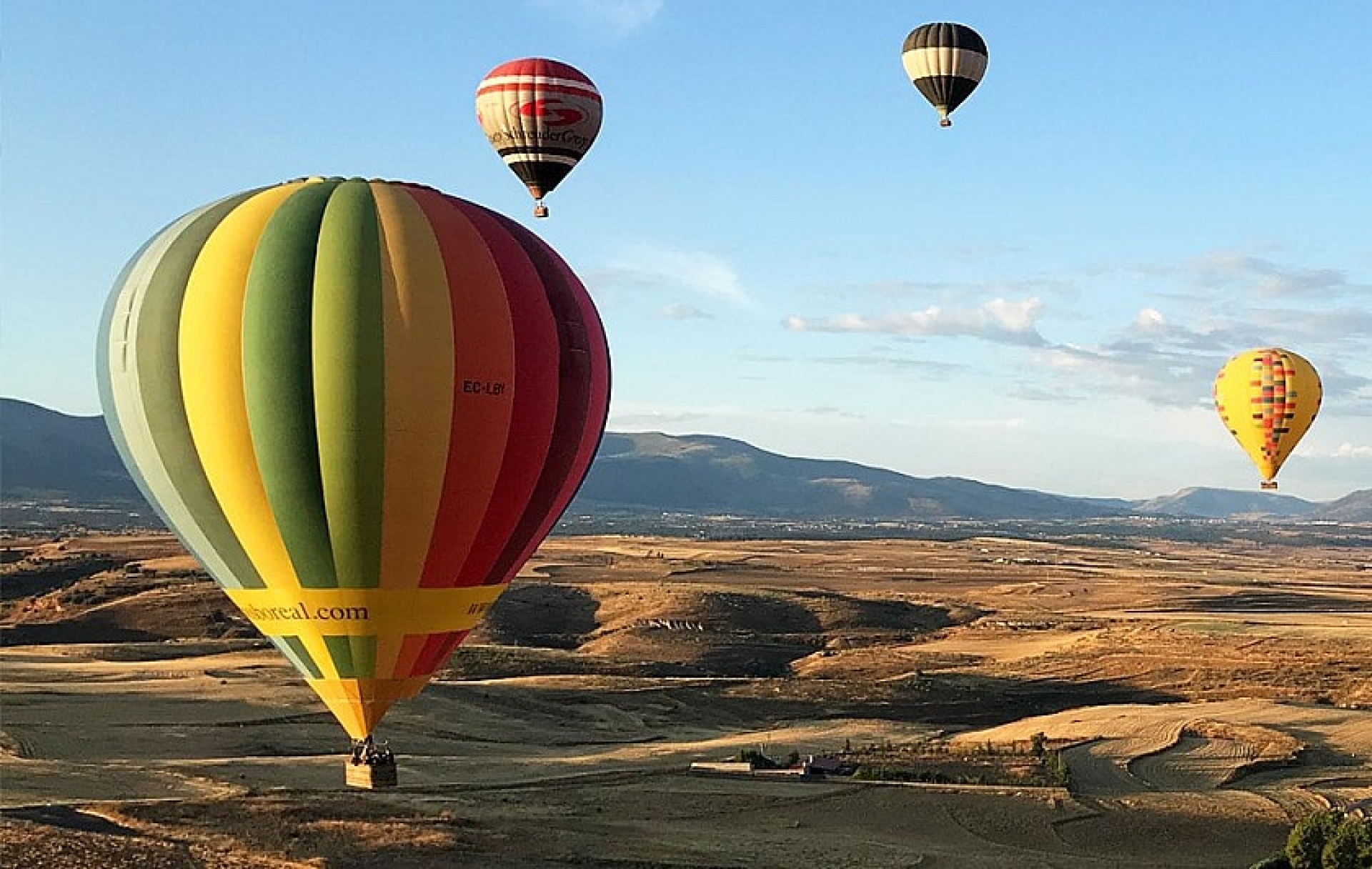 Vuelo en globo en la Vega Baja, visita a fábrica de conservas vegetales y degustación de alcachofas